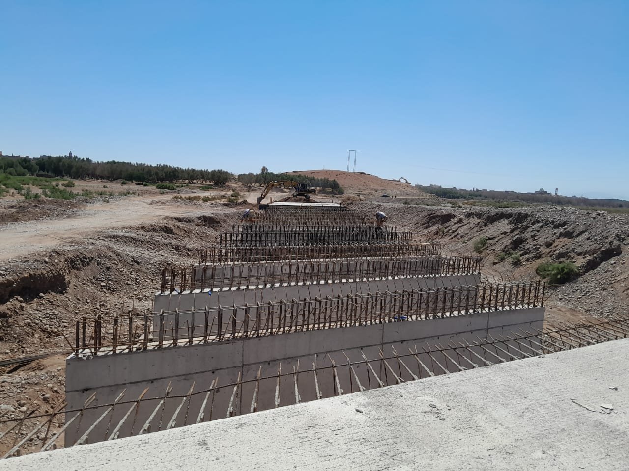 WhatsApp Image 2026-03-05 at 22.37.00 (1)