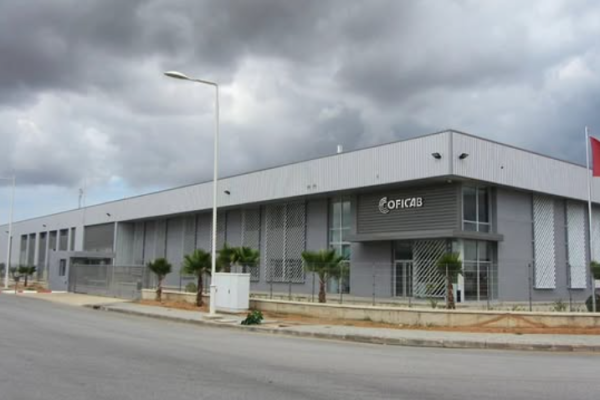 Screenshot 2026-02-26 220347