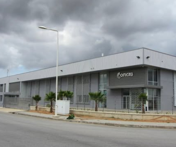 Screenshot 2026-02-26 220347